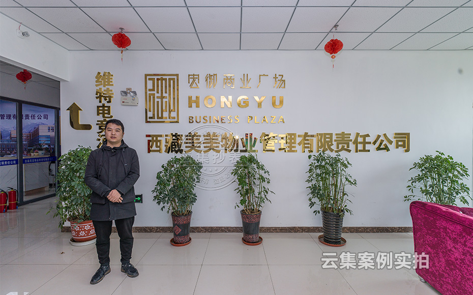 西藏水電管理系統(tǒng)