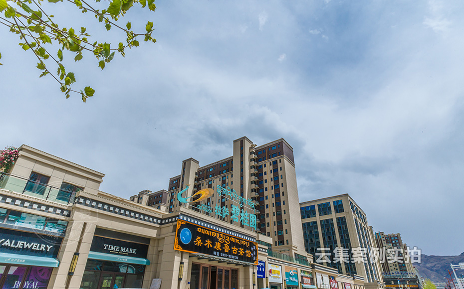 小區(qū)遠(yuǎn)程抄表系統(tǒng)