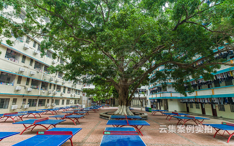 中學(xué)電表抄表系統(tǒng)