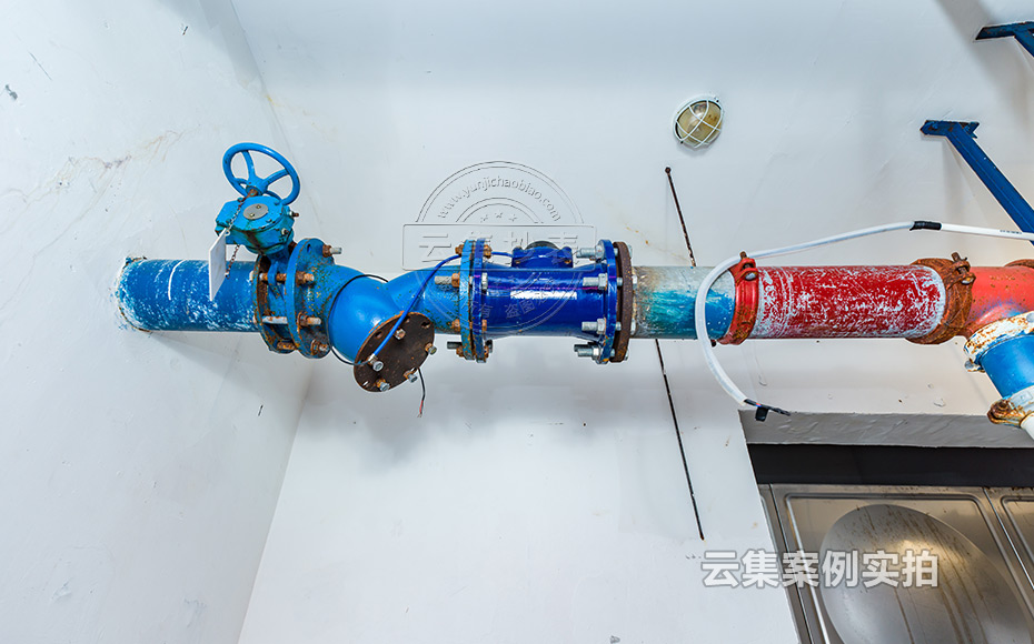 大口徑遠傳水表