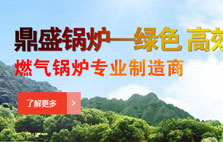 鼎盛鍋爐燃?xì)忮仩t專(zhuān)業(yè)制造商
